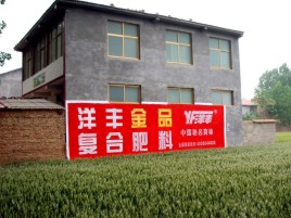 新乡如何让墙体广告展现最大化效果